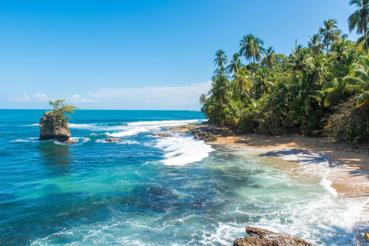 Loftscacao Apartments, Villas Cacao, Near To Playa Bonita Limon エクステリア 写真