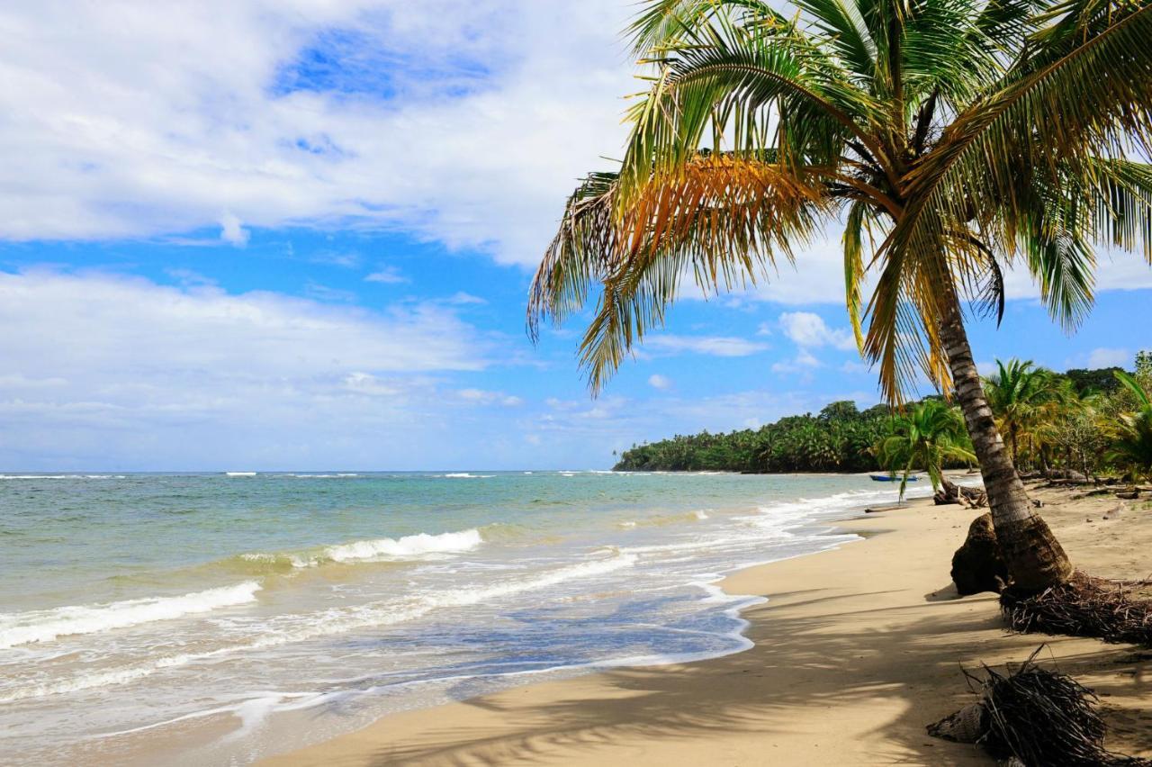 Loftscacao Apartments, Villas Cacao, Near To Playa Bonita Limon エクステリア 写真